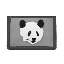 Giant Panda Bear Ansikte