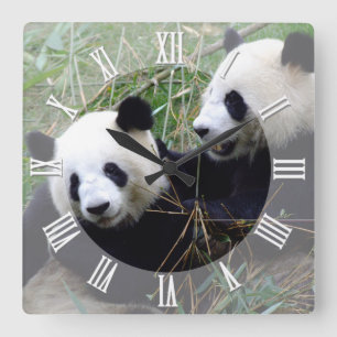 Giant Panda Bears do Kärlek leker/familjepandabas Fyrkantig Klocka