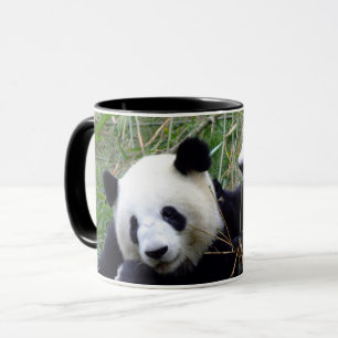 Giant Panda Bears Eating Bamboo & Kärlek (lustigt) Mugg