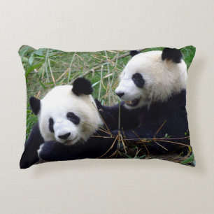 Giant Panda Bears Eating Bamboo & Play (lustigt) Prydnadskudde