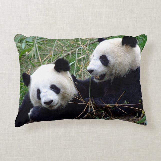 Giant Panda Bears Eating Bamboo & Play (lustigt) Prydnadskudde (Framsidan)