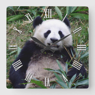 Giant Panda Behålla Smiling, China Animals Fyrkantig Klocka