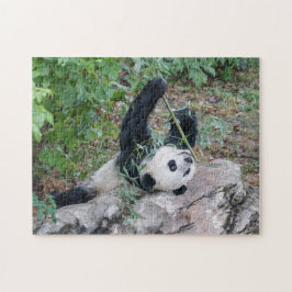 Giant Panda Enjoying Life Puzzle Pussel