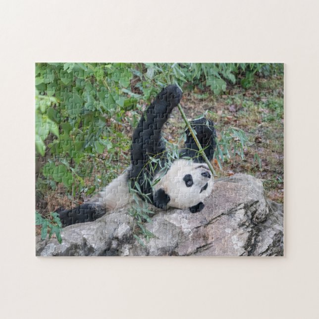 Giant Panda Enjoying Life Puzzle Pussel (Horisontell)