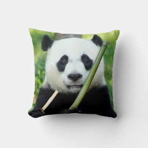 Giant Panda Holding Bamboo Kudde