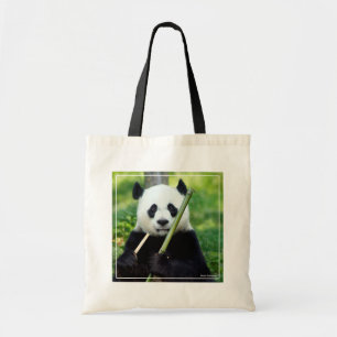 Giant Panda Holding Bamboo Tygkasse