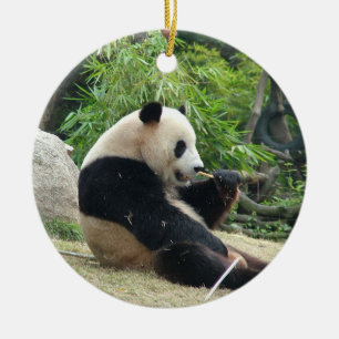 Giant panda i en vild djurparksfotografi. julgransprydnad keramik