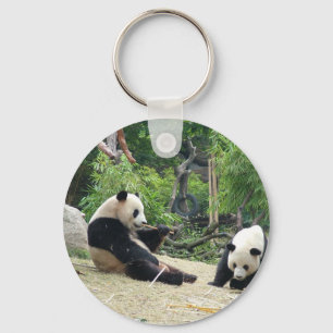 Giant panda i en vild djurparksfotografi. nyckelring