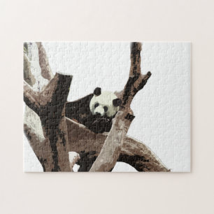 Giant panda i en vild djurparksfotografi. pussel