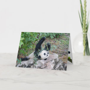 Giant Panda Just Chillaxin Greeting Card Kort