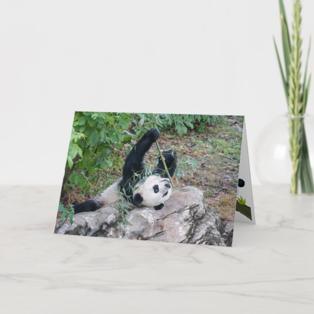 Giant Panda Just Chillaxin Greeting Card Kort (Framsida)