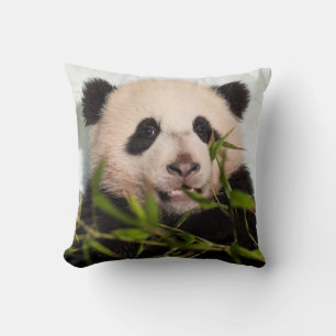Giant Panda lutar mot Wall Kudde