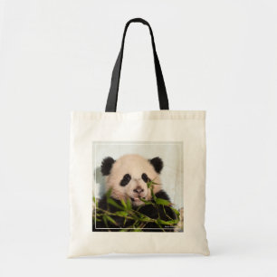 Giant Panda lutar mot Wall Tygkasse