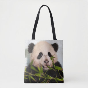 Giant Panda lutar mot Wall Tygkasse