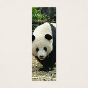 Giant panda mini-bokmärke litet visitkort