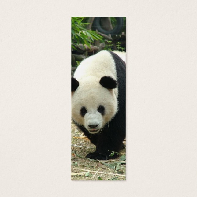 Giant panda mini-bokmärke litet visitkort (Framsidan)