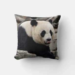 Giant Panda på Sten Kudde