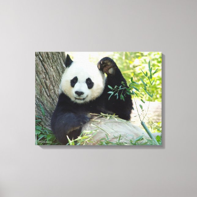 Giant Panda Restoration against Träd Canvastryck (Framsida)