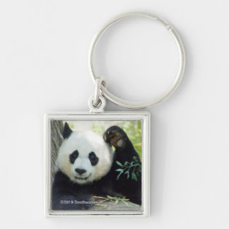 Giant Panda Restoration against Träd Fyrkantig Silverfärgad Nyckelring