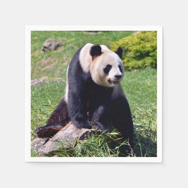 Giant panda sitta på en sten pappersservett (Framsidan)