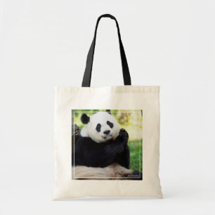 Giant Panda Sitta Tygkasse