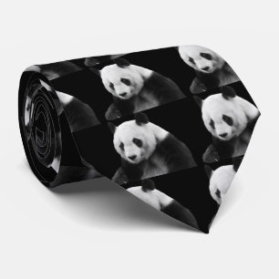 Giant Panda Slips