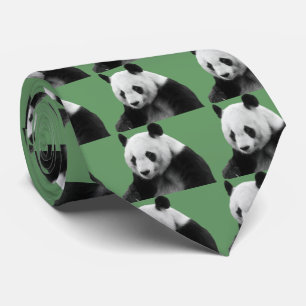 Giant Panda Slips