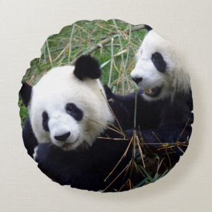 Giant Panda Spelning & Kärlek Rund Kudde