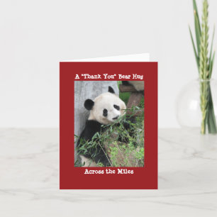 Giant Panda Tack Bear Hug över Miles Kort
