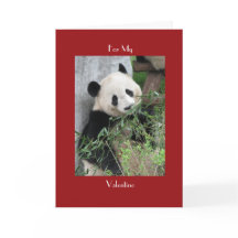 Giant Panda Valentines Day Red Cuddle och Hugs