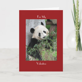 Giant Panda Valentines Day Red Cuddle och Hugs Helgkort