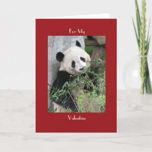 Giant Panda Valentines Day Red Cuddle och Hugs Helgkort