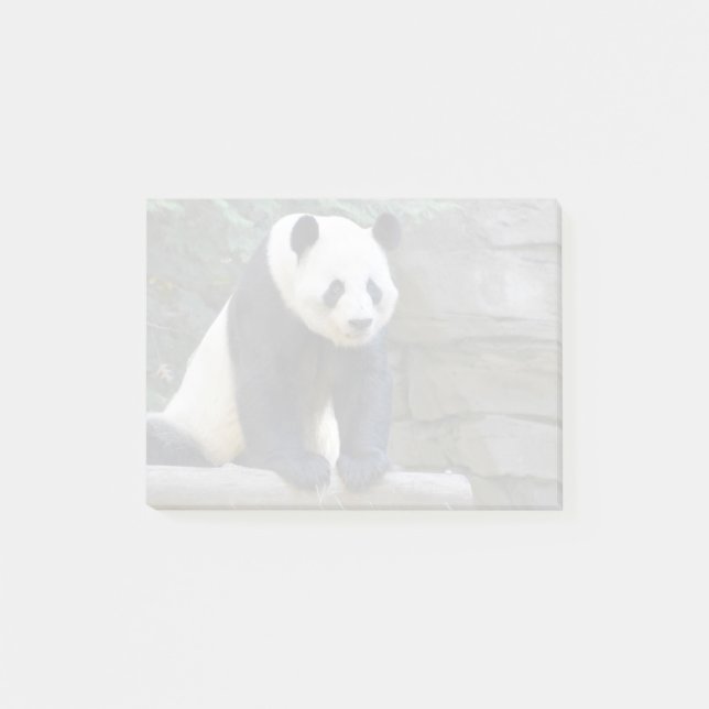 Giant Panda Yang Yang vid Zoo Atlanta Post-it Block (Framsida)