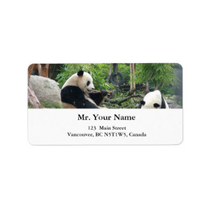 Giant pandas adressetikett