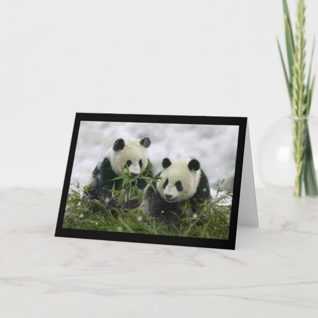 Giant Pandas Helgkort (Framsida)