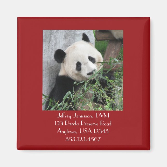 Giant Pandas Veterinarian Vet Promotional Giveaway Magnet (Framsidan)