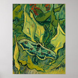 Giant Peacock Moth, 1889 av Vincent van Gogh Poster