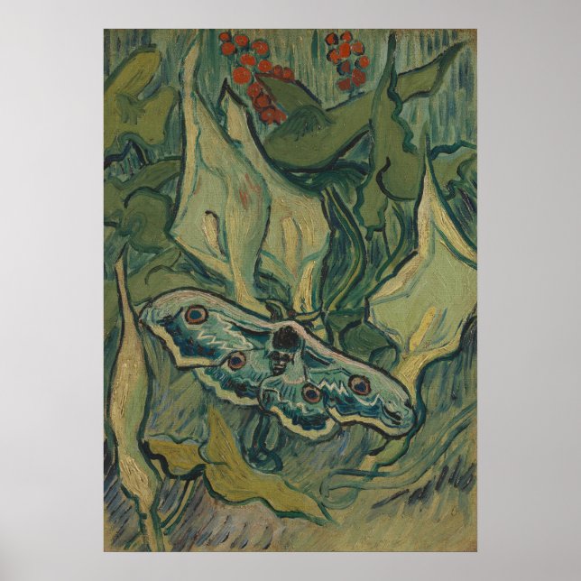 Giant Peacock Moth (1889) från Vincent van Gogh Poster (Framsidan)
