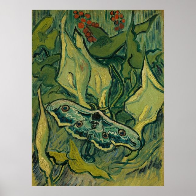 Giant Peacock Moth Vincent van Gogh 1889 Poster (Framsidan)