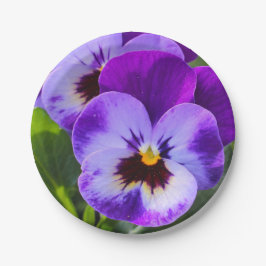 Giant pong Pansy Fyller det här