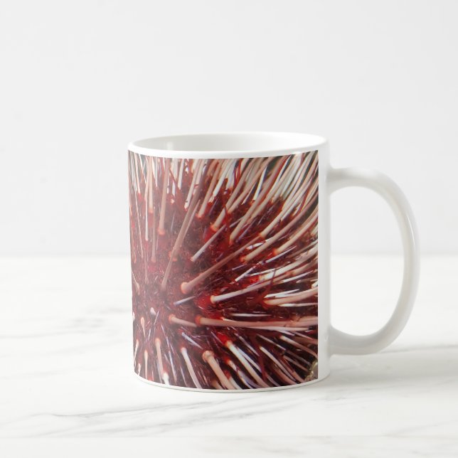 Giant Red Sea Urchin - Mugg (Höger)