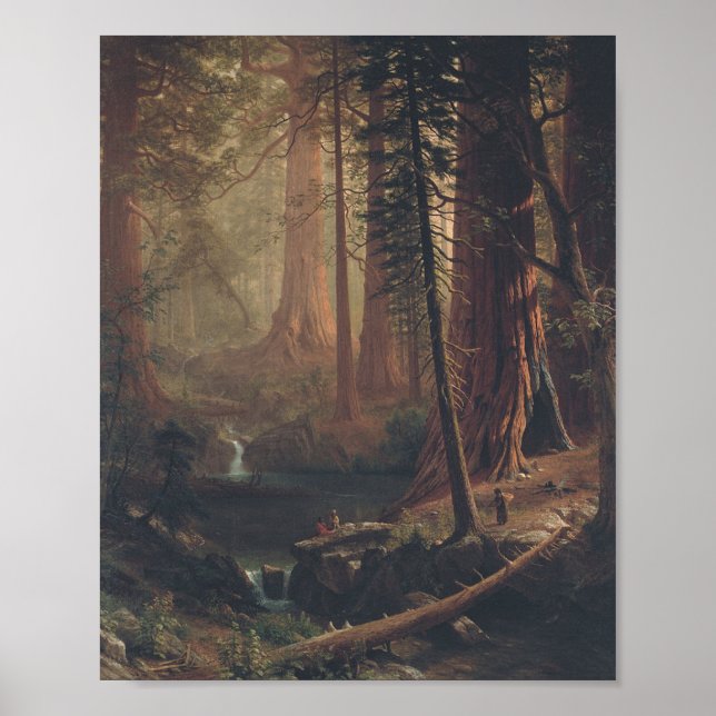 Giant Redwood av Albert Bierstadt Poster (Framsidan)