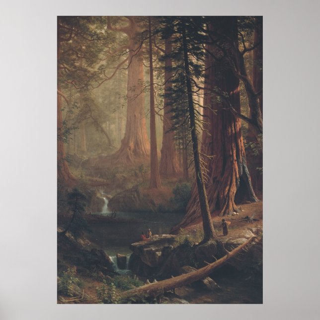 Giant Redwood Träd - 1800-talets väggkonst (Framsidan)