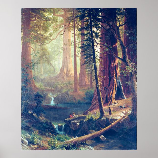 Giant Redwood Träd i California Albert Bierstadt Poster (Framsidan)