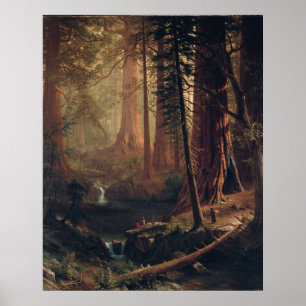 Giant Redwood Träd i California Albert Bierstadt Poster