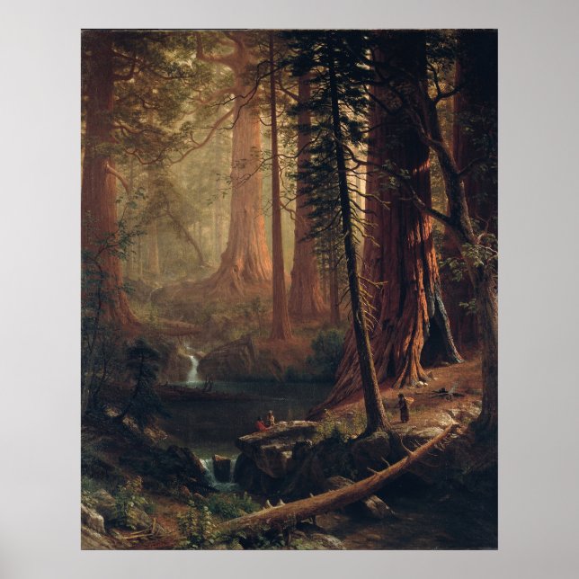 Giant Redwood Träd i California Albert Bierstadt Poster (Framsidan)