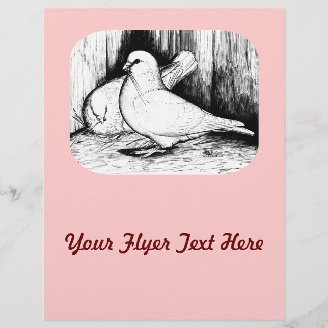 Giant Runt Pigeons Reklamblad (Framsidan)