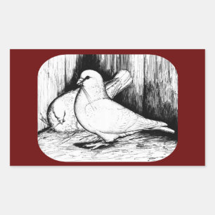 Giant Runt Pigeons Rektangulärt Klistermärke
