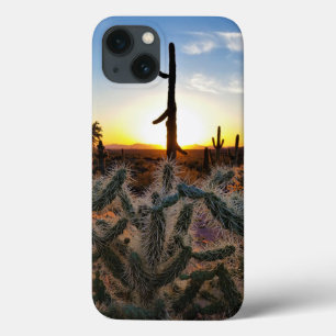 Giant Saguaro Cactus in Sunset in Sonoran Desert