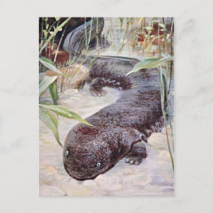 Giant Salamander Art Vykort